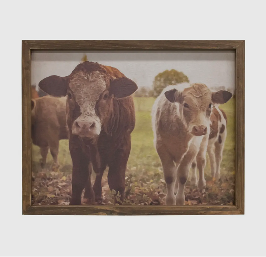 Cattle canvas