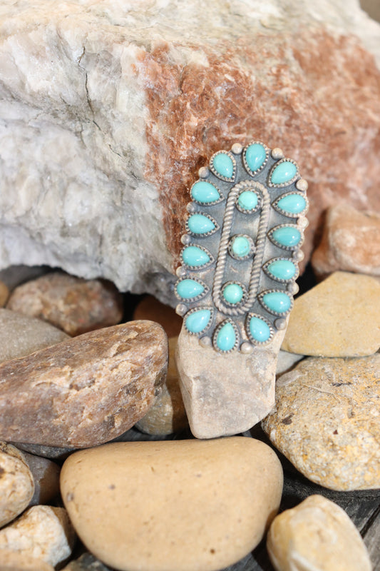 Adjustable cluster ring
